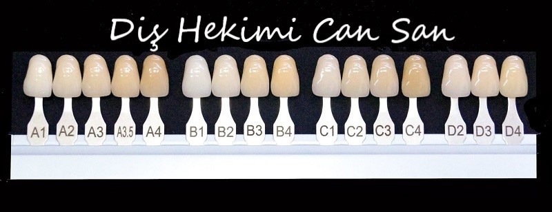 zirkonyum diş renkleri